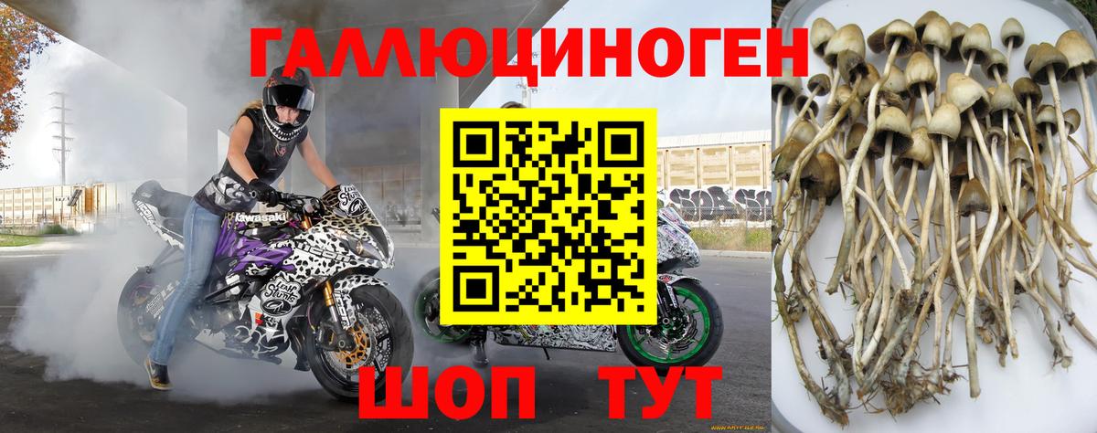 Симферополь  купить   Вход с VPN  Галлюциногенные грибы прущие грибы 