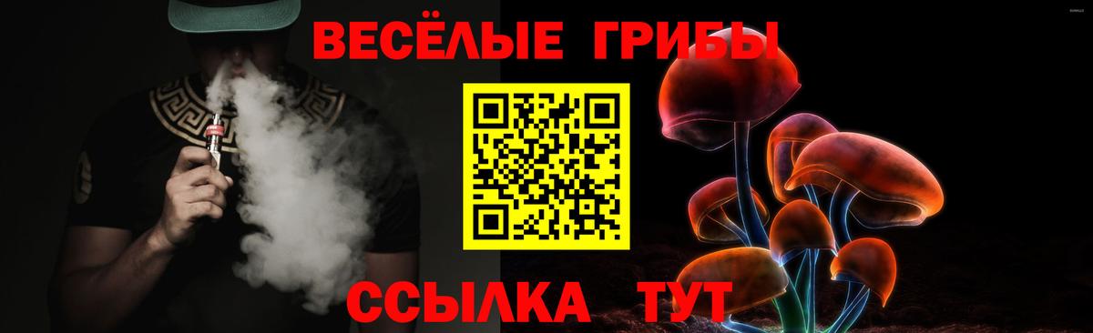 Галлюциногенные грибы Psilocybine cubensis Симферополь